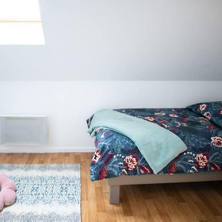 Duplex Tout Equipe, Proche Centre-Ville Colmar, Parking 외부 사진