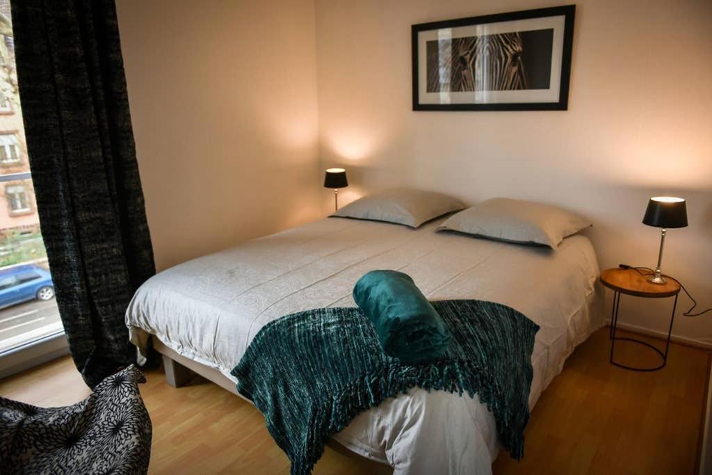 Duplex Tout Equipe, Proche Centre-Ville Colmar, Parking 외부 사진